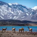 Por riesgo clim�tico, solo se podr� visitar la Laguna del Diamante durante el d�a