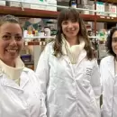 Innovaci�n: cient�ficas argentinas crean un ap�sito inteligente que ayuda a cicatrizar m�s r�pido y combate infecciones