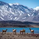 La Laguna del Diamante estar� habilitada para visitas diurnas durante esta Semana Santa