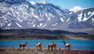 laguna