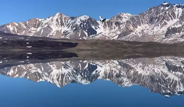 laguna