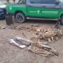 Desarticularon una importante red de caza furtiva en el sur de Mendoza