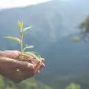 5 de junio, D�a Mundial del Medio Ambiente: por qu� el planeta necesita tu acci�n hoy