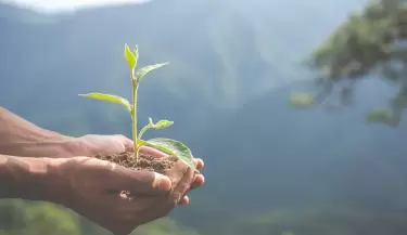 tierra