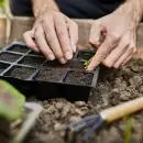 Sumate al cambio este D�a de la Tierra: 14 acciones simples para cuidar el planeta