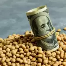 Liquidaci�n hist�rica: el campo le aport� US$ 2.032 millones a la econom�a en marzo