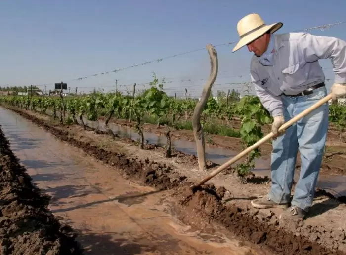 agricultor