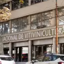 Bodegas podr�n agilizar sus operaciones gracias a una nueva resoluci�n del INV
