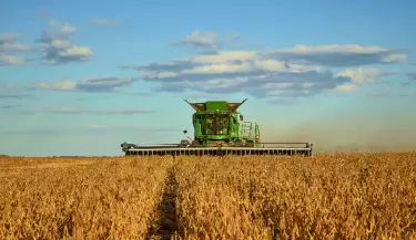 Agro