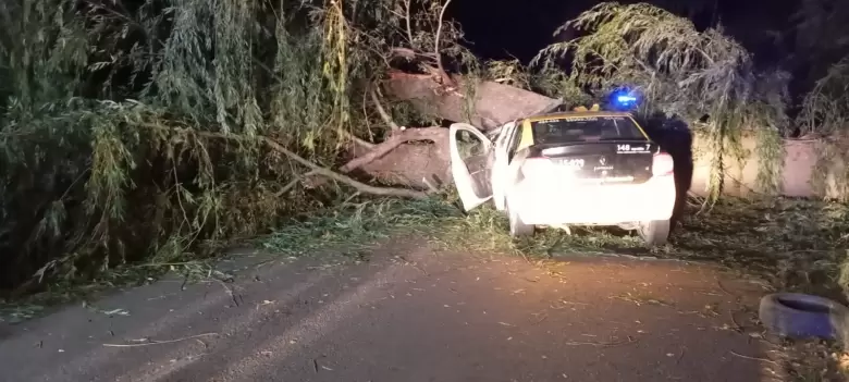 accidente fatal en Tunuyán