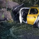 Un taxista muri� luego de chocar contra un �rbol en Tunuy�n