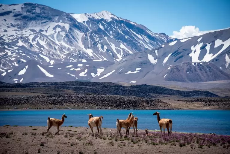 laguna del diamante