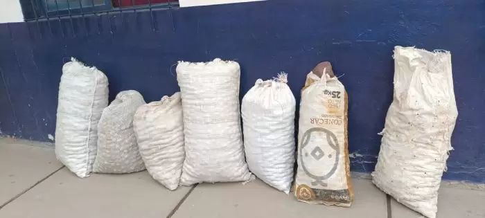 Operativos