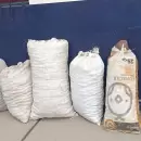 La alarmante cantidad de kilos de nueces robadas en las �ltimas semanas en Tupungato