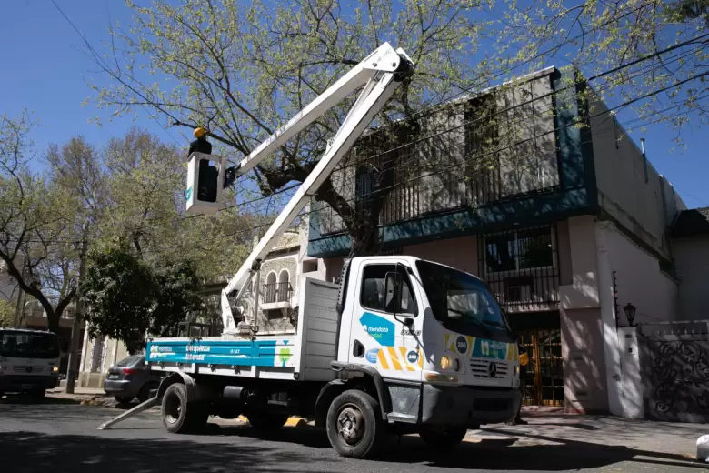 servicios