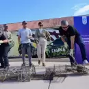 Costarelli anunci� la construcci�n de dos plazas exclusivas para mascotas en Godoy Cruz