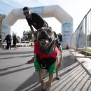 Capital tendr� cortes por la Marat�n Animal: cu�ndo y qu� calles evitar