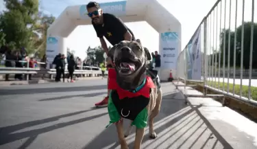 Marat�n animal