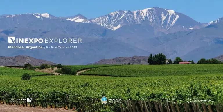vinexpo