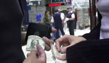 arbolitoS DOLAR