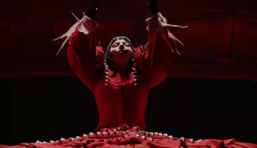 gaga brasil