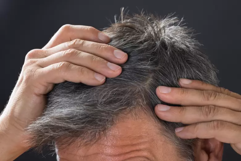 Canas