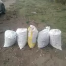 Tupungato: detienen a seis personas por robo de nueces y recuperaron dos motos