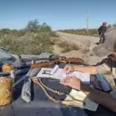 Controles en las rutas: alertan por la caza ilegal en el Este mendocino
