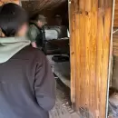 Gendarmer�a desmantel� una presunta red de trata de personas en Malarg�e