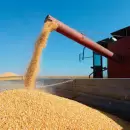 Guerra en Medio Oriente: productores prev�n suba de precios y mayor uso de biocombustibles