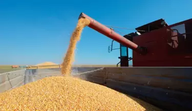 agroindustria