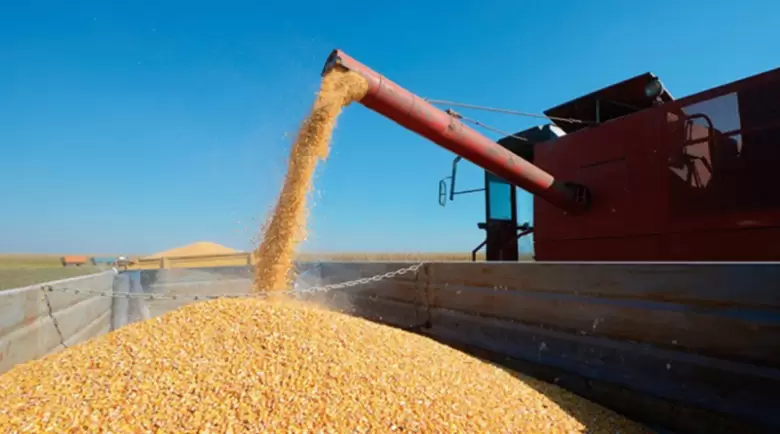 agroindustria