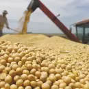 El campo liquidó US$ 2.677 millones en mayo y se consolida como una fuente clave de dólares