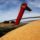 Alerta por la ca�da de los d�lares del campo: prev�n menores ingresos en 2026