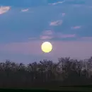 Espect�culo astron�mico: cu�ndo ver la peque�a Luna llena de mayo y por qu� es tan �nica