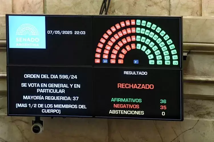 Senado ficha limpia