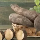 El yacón, el tubérculo que sorprende