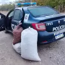 Secuestraron más de 100 kilos de nueces robadas y detuvieron al sospechoso en Tupungato