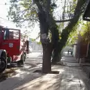 Adolescentes de una residencia alternativa provocaron un principio de incendio en Tupungato