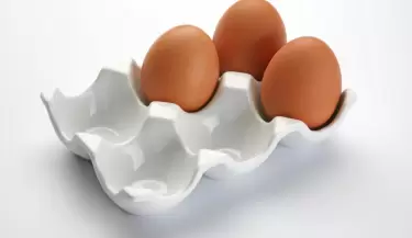 Descubre la mejor manera de almacenar tus huevos.
