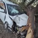 Una mujer polic�a internada tras chocar con un �rbol en Lavalle