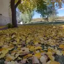 Una tarde de oto�o, esa estaci�n perfecta de las manzanas