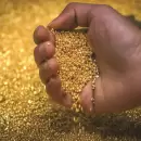 El oro se posiciona como el segundo activo de reserva m�s importante del mundo