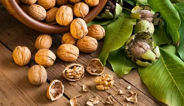 Descubre los beneficios de agregar nueces a tu rutina diaria.