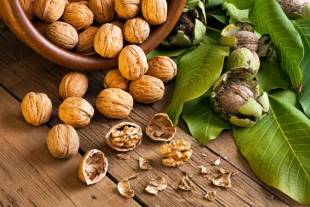 nueces