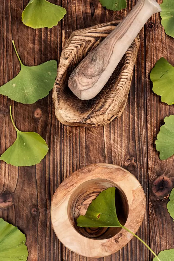 ginkgo biloba