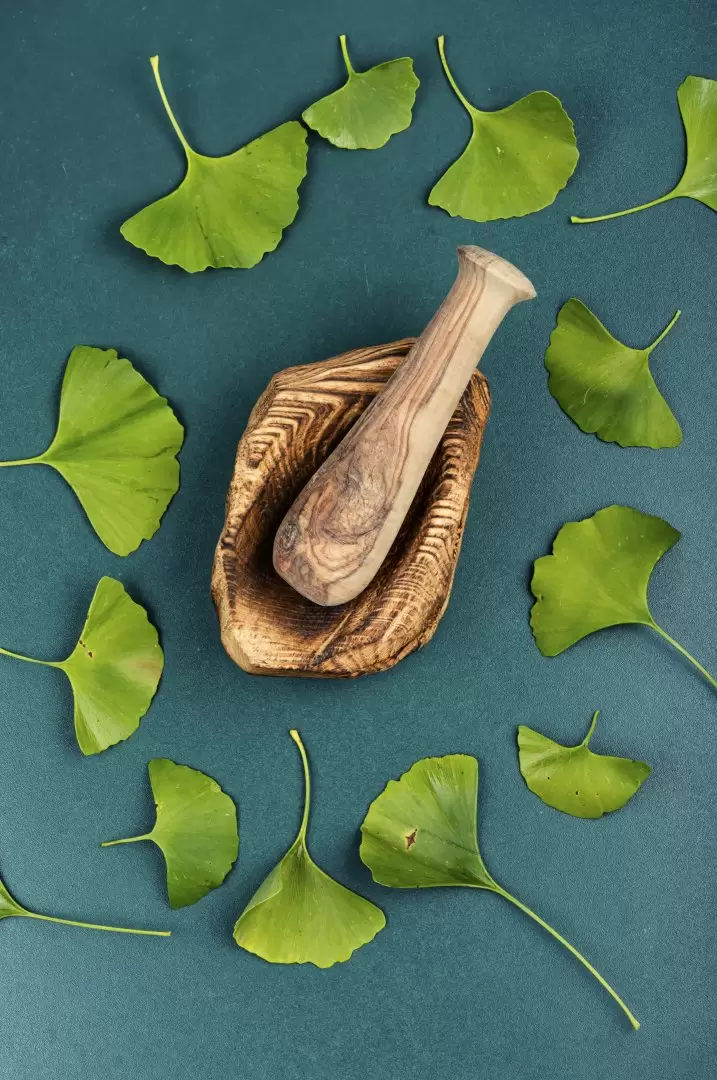 ginkgo biloba