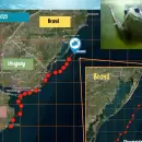 El tortugo Jorge sigue su ruta de libertad: ya recorri� m�s de 1.300 kil�metros y lleg� a Porto Alegre