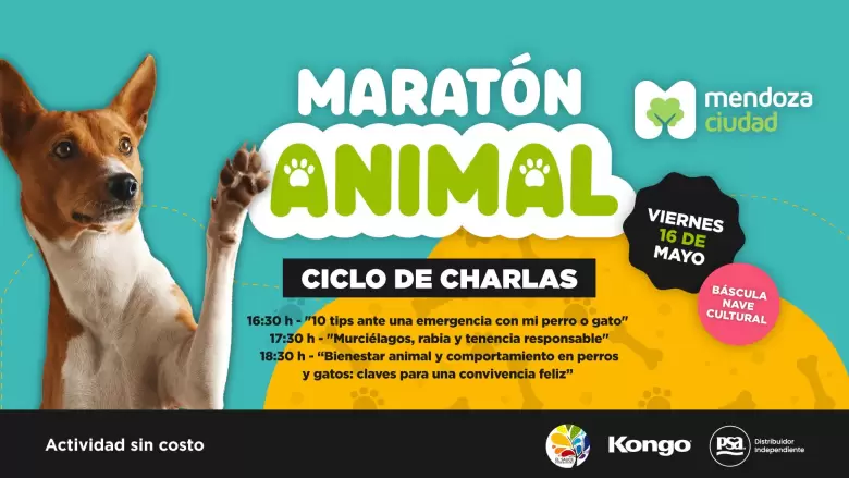 maratón animal