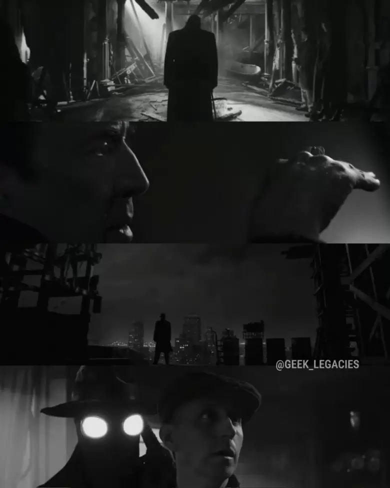 spider noir